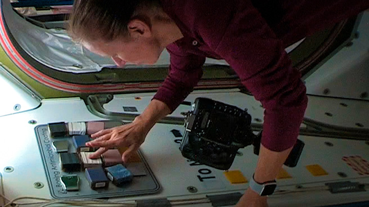 An astronaut conducting a test aboard the International Space Station.