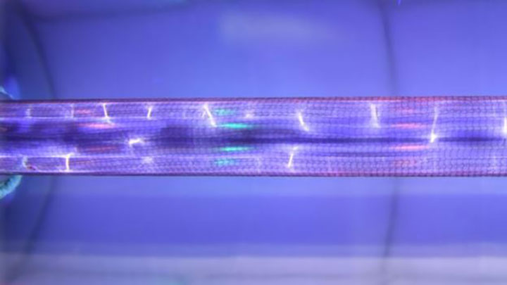 Ultraviolet light shines as Boeing scientists and engineers assess its effectiveness as a disinfectant in airplane cabins.
